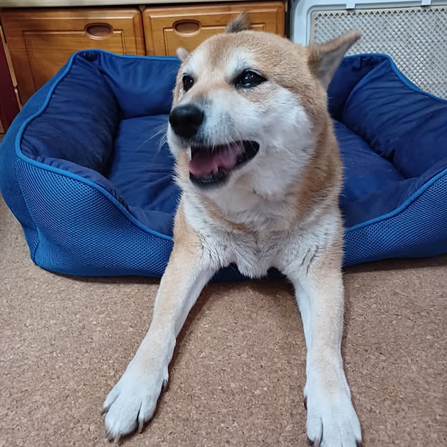 nanaさんの部屋