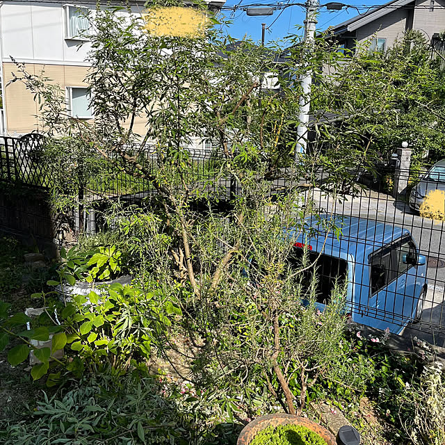 kikiさんの部屋
