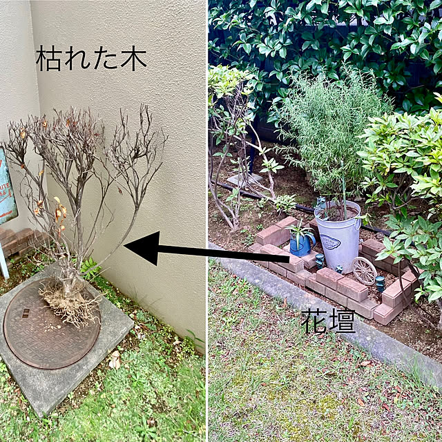 YuuKoさんの実例写真