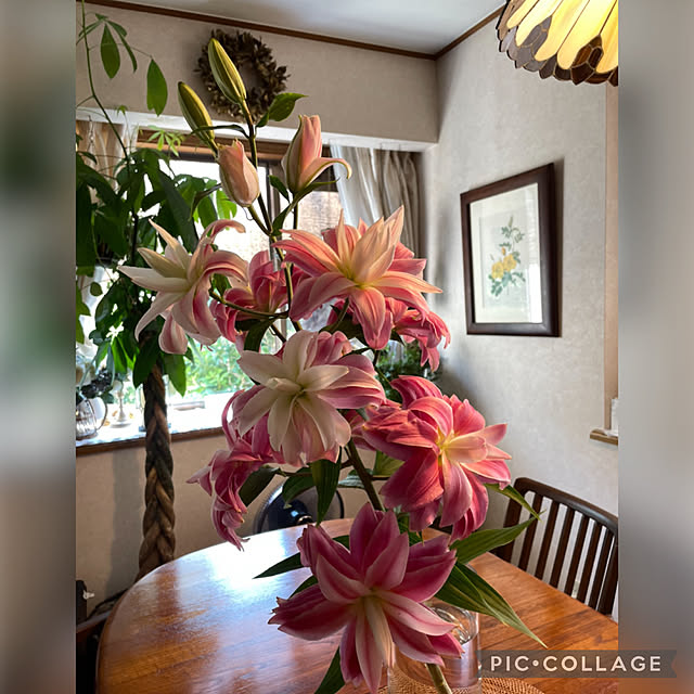 mamizaさんの実例写真