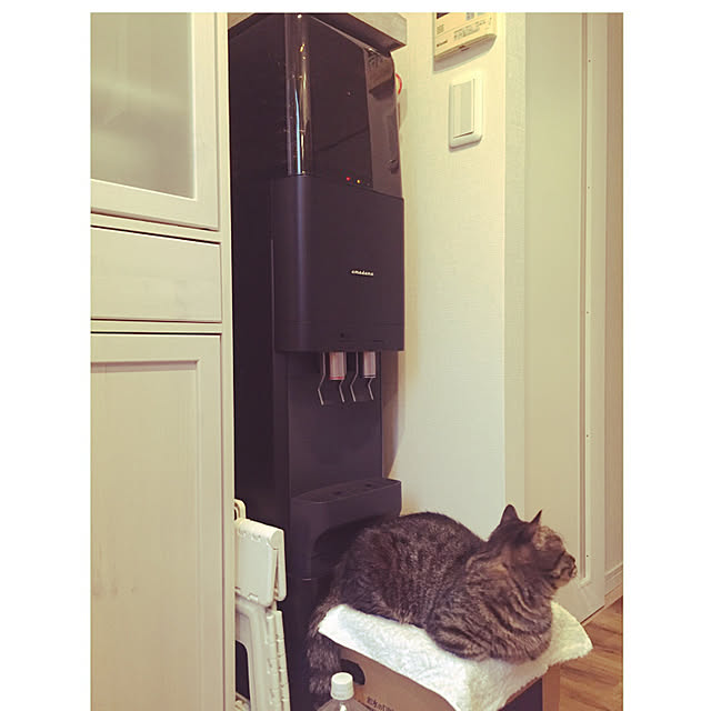 nocomomさんの実例写真