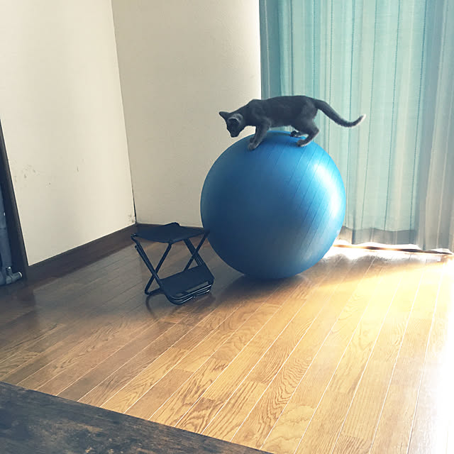 kyonさんの実例写真