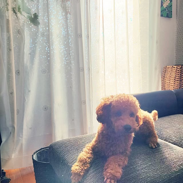 mimi828さんの部屋