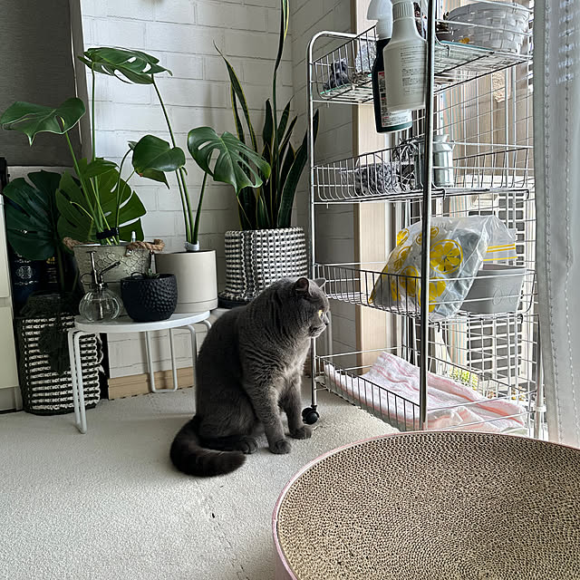 kittyさんの部屋