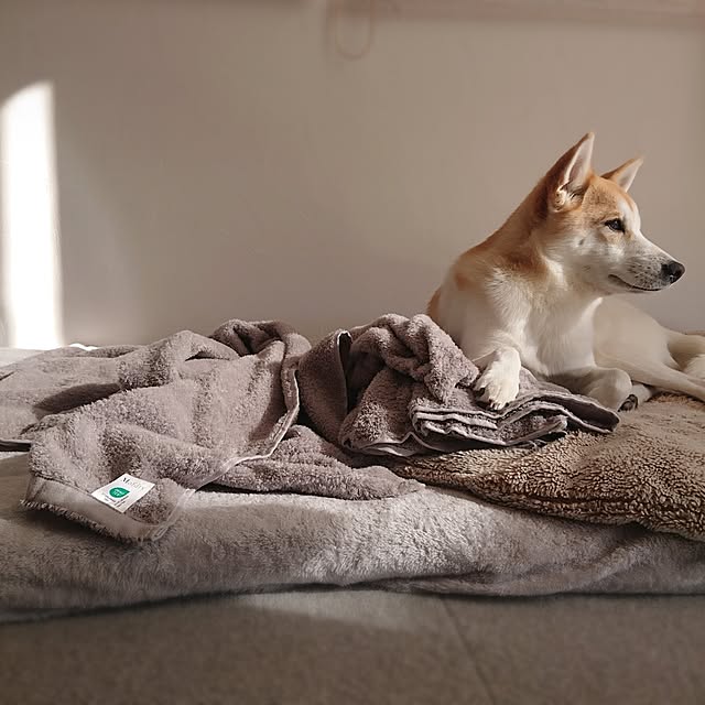 Mi-koさんの部屋