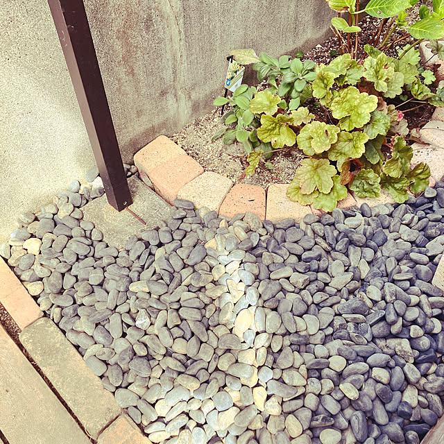 machaさんの実例写真