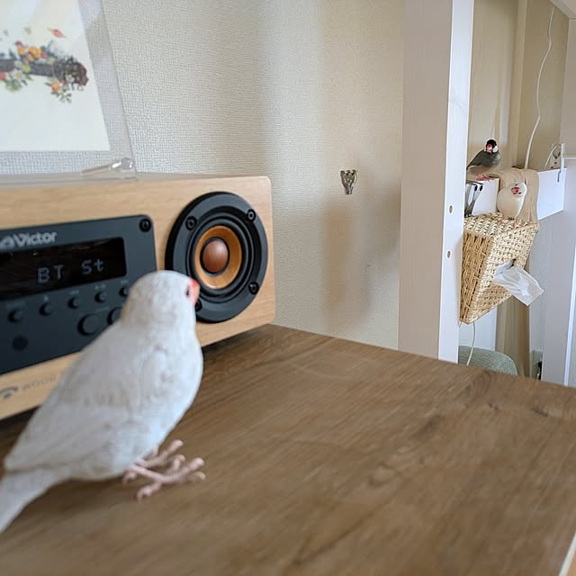 escargotさんの部屋