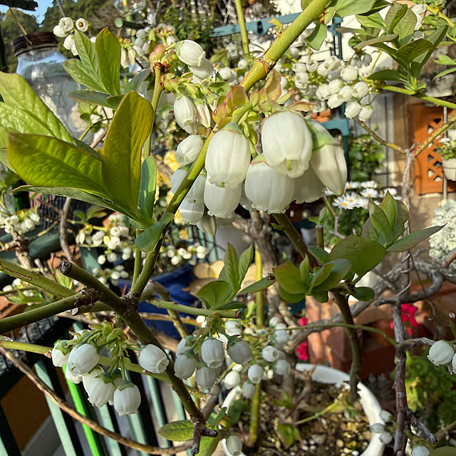 Aqettyさんの部屋