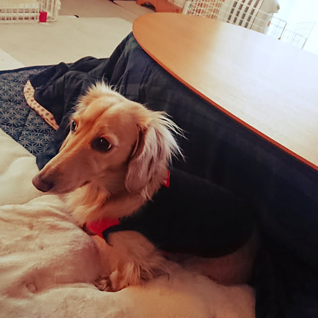 JUNMARIKAさんの実例写真