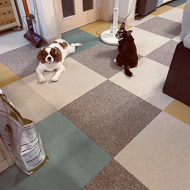部屋全体のインテリア実例 - 2022-08-18 20:34:22