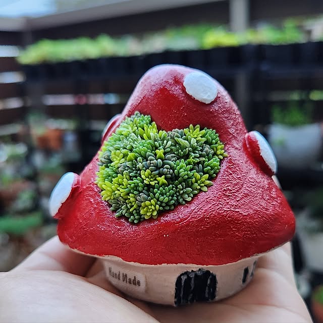 amtさんの実例写真