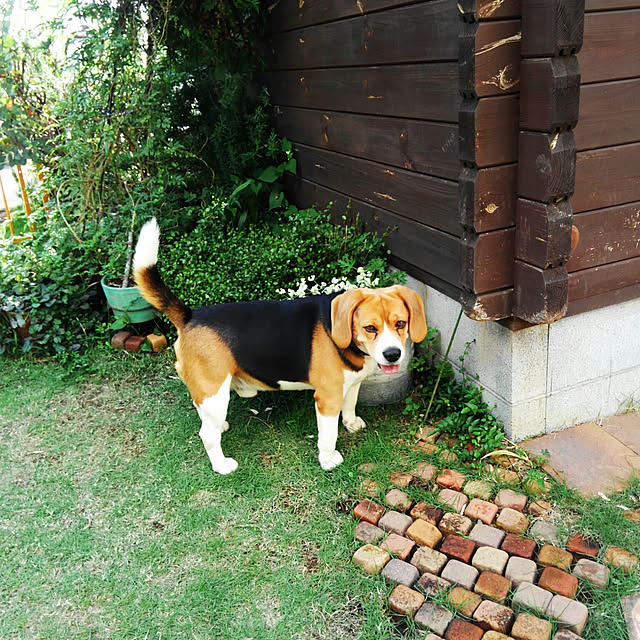 10nco.syuiさんの実例写真
