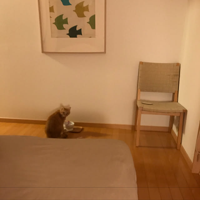 hanaさんの実例写真