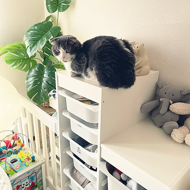 tansukeさんの部屋