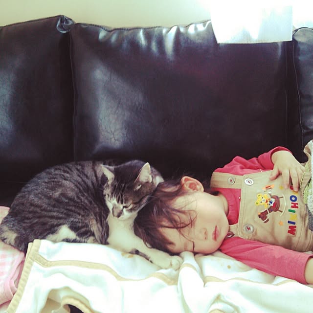 arahonis471さんの実例写真