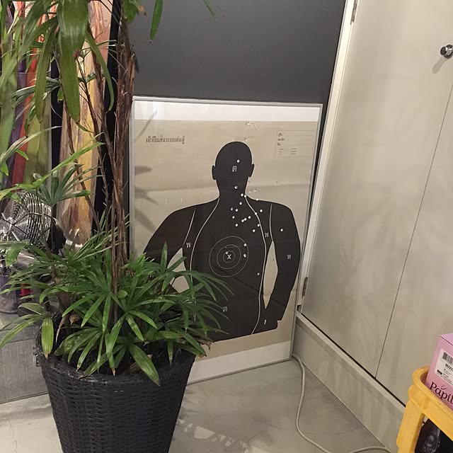 実例写真