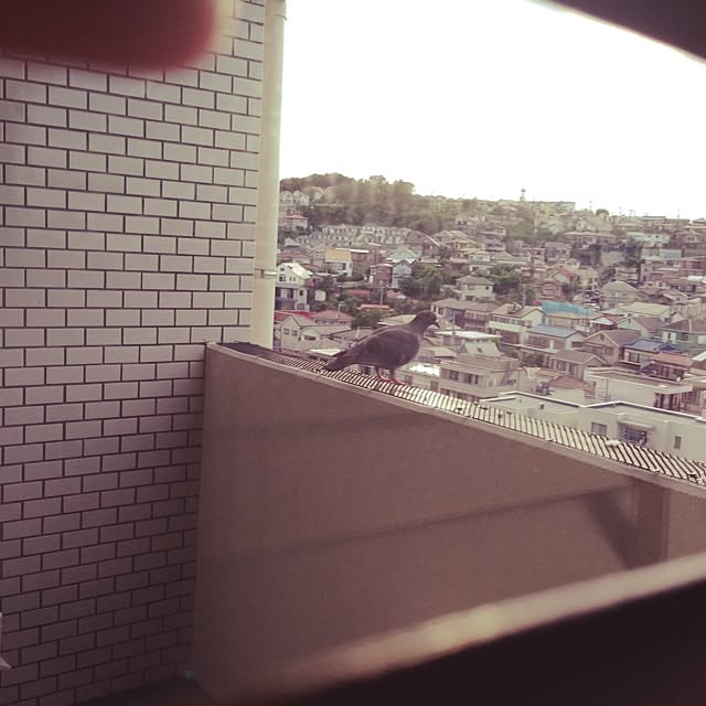 lovegreenさんの実例写真