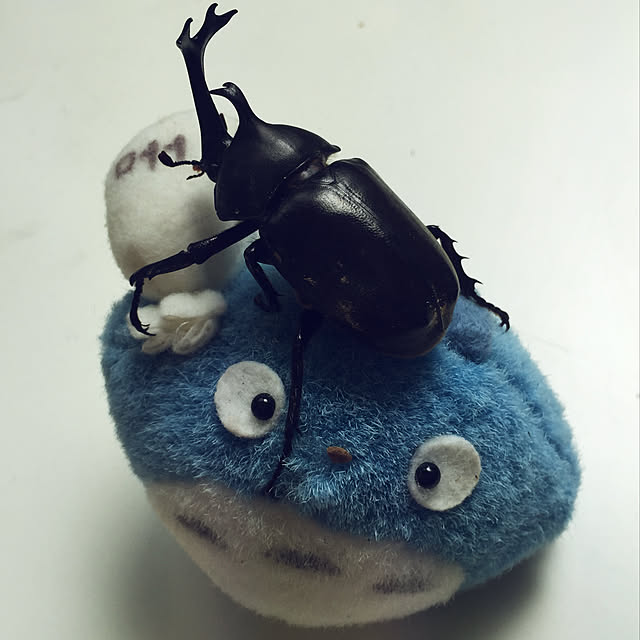 .さんの実例写真