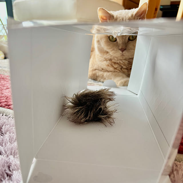 naokoさんの実例写真