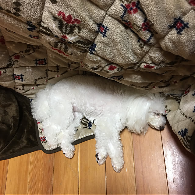 kakoさんの実例写真