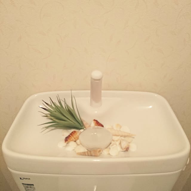 sakanaさんの実例写真