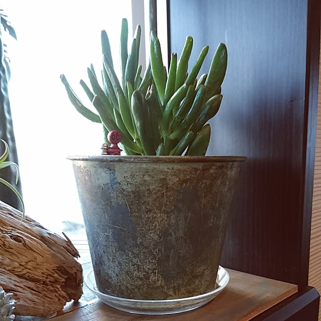 cocosorasakuさんの実例写真
