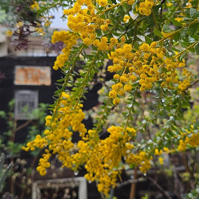 min_nimさんの部屋