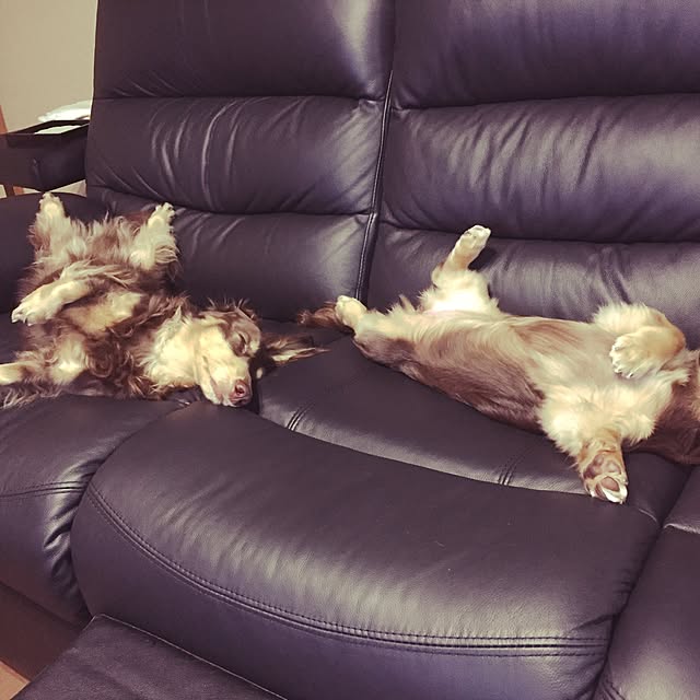 t.vu_uv.k444さんの実例写真