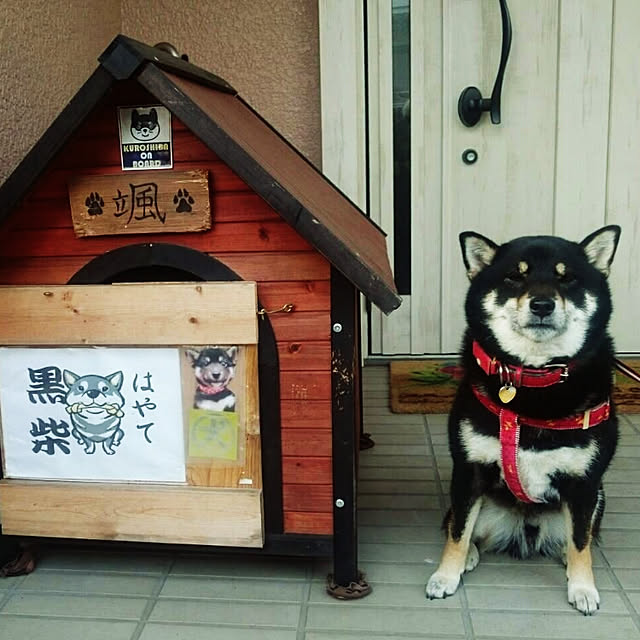 tsutawarimasuさんの実例写真