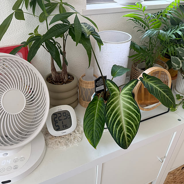 natsumiさんの部屋