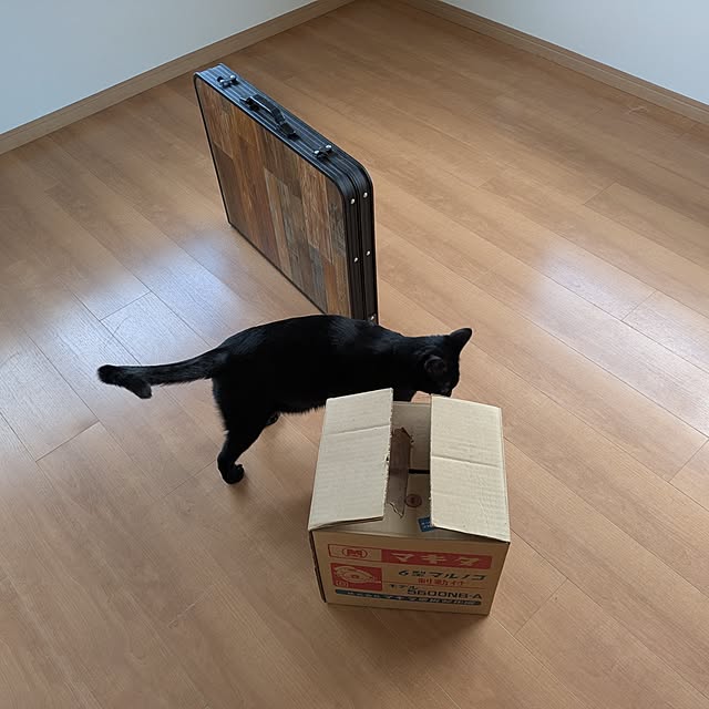 asaさんの実例写真