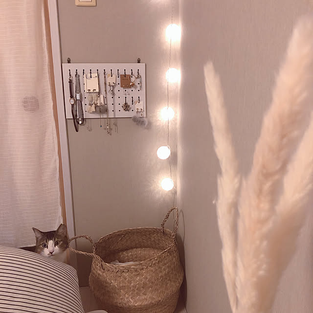 nekomiさんの実例写真