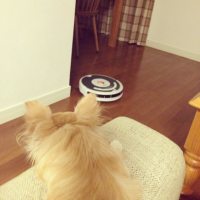 mamiさんの実例写真