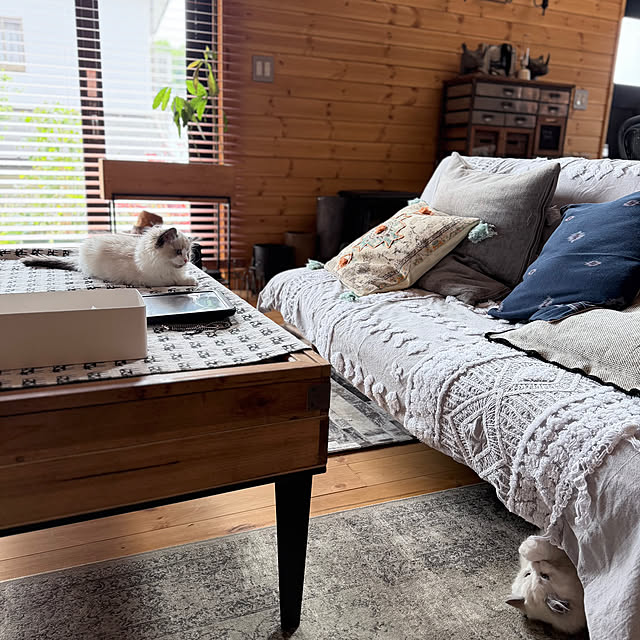 puffloveさんの部屋