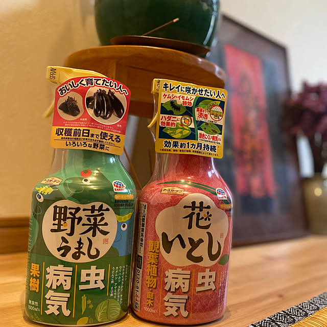 kotaroさんの実例写真