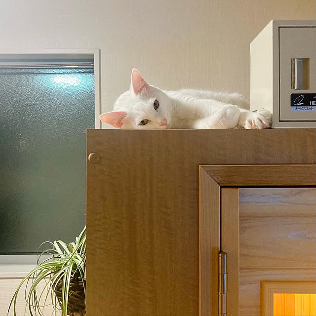 monmonさんの実例写真