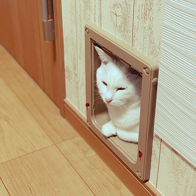 tomomiさんの実例写真