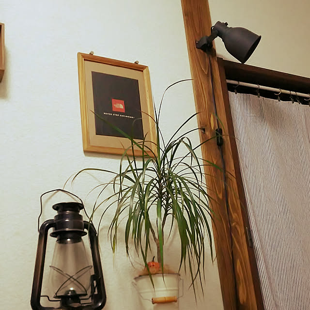 arioさんの実例写真