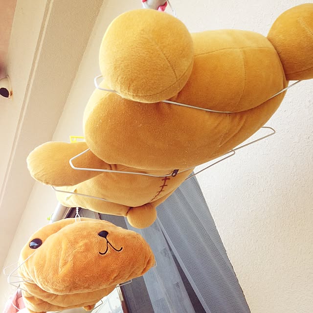 CHIROさんの実例写真