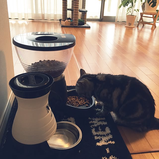 hiyupan88さんの実例写真