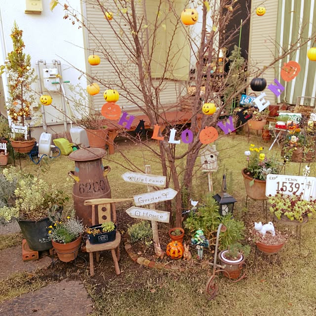michi-michi39さんの実例写真