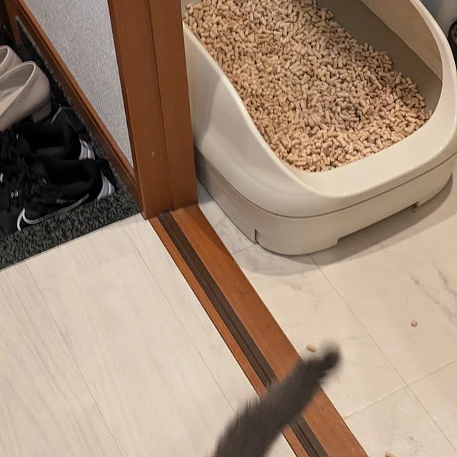 Manamiさんの部屋