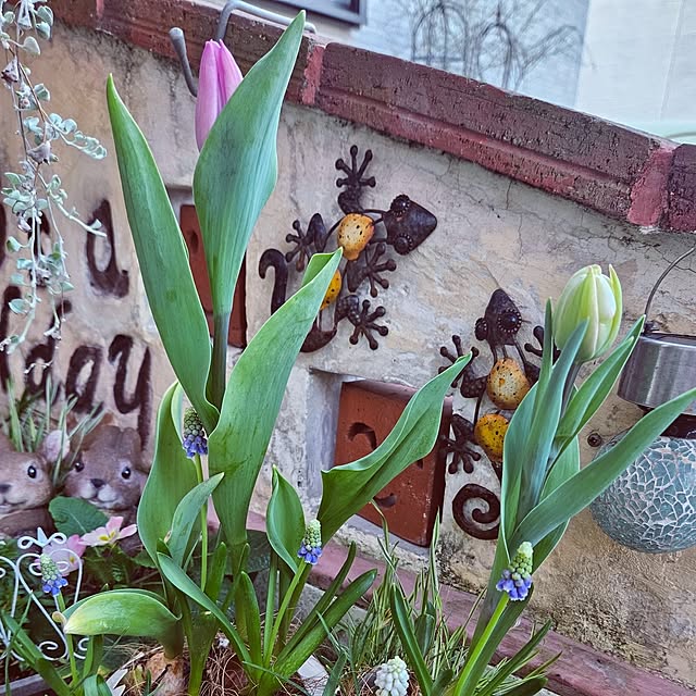 mocomocoさんの部屋