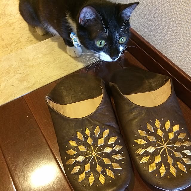 kitさんの実例写真