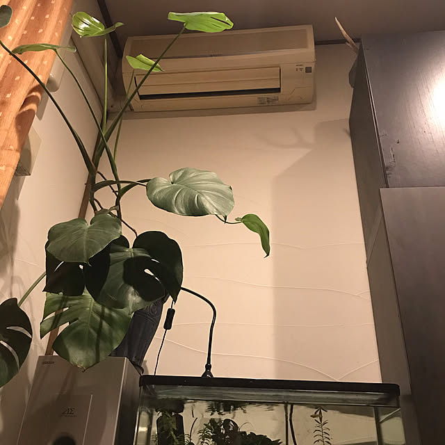 Miyabikoさんの実例写真
