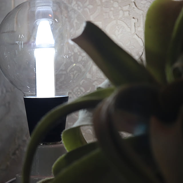 micoさんの部屋