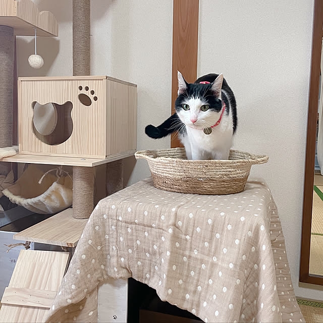 harukaさんの実例写真