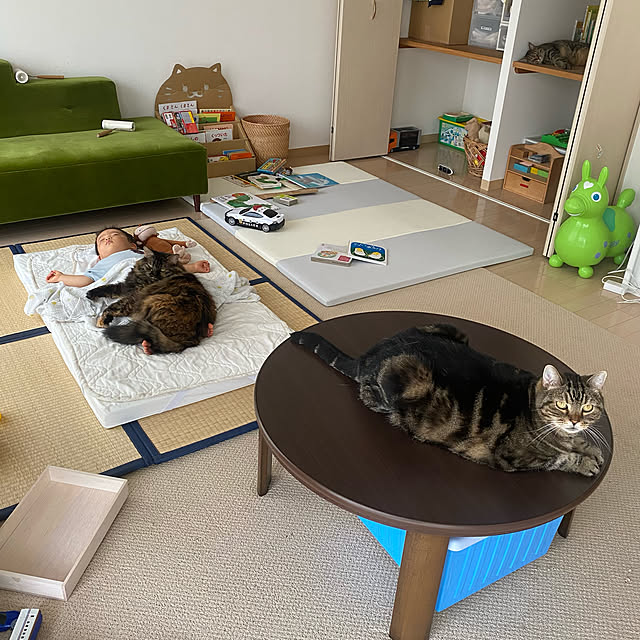 mikomaruさんの実例写真