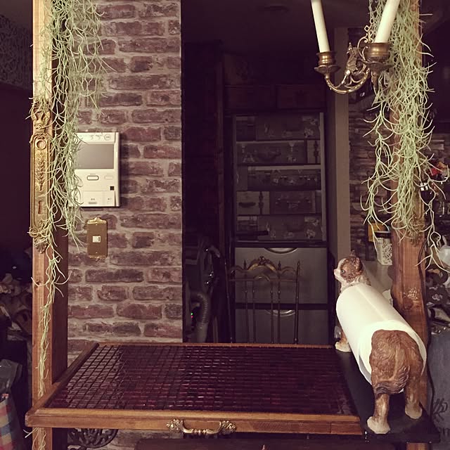 emmyyさんの実例写真