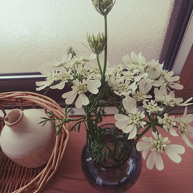 kuremaさんの実例写真